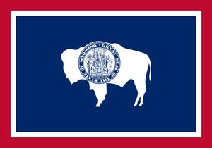 What is a Wyoming Decentralized Autonomous Organization (DAO) Limited Liability Company?