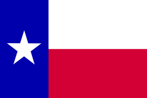 Texas Domestic and Foreign LLC Annual Report Due May 17