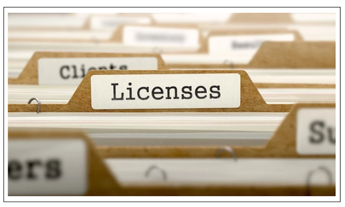 business license service dbi global filings llc