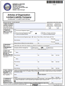 Nevada LLC Order Form